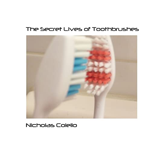 The Secret Lives of Toothbrushes