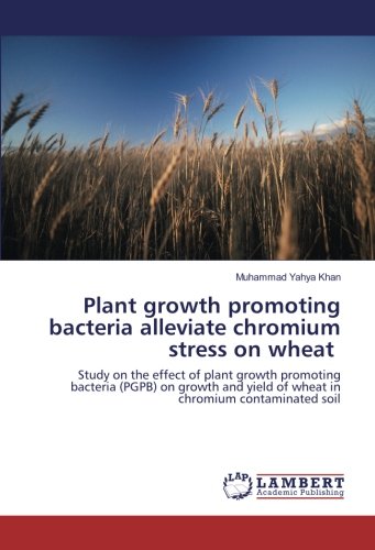 Plant growth promoting bacteria alleviate chromium stress on wheat: Study on the effect of plant growth promoting bacteria (PGPB) on growth and yield of wheat in chromium contaminated soil