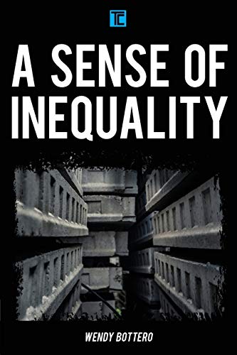 A Sense of Inequality (Transforming Capitalism)