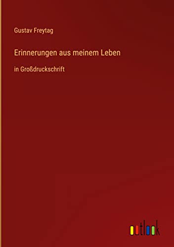 Erinnerungen aus meinem Leben: in Großdruckschrift