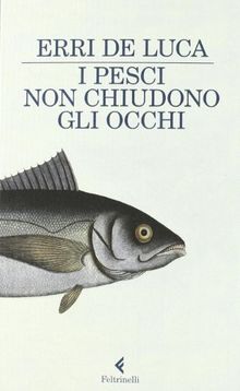 I pesci non chiudono gli occhi