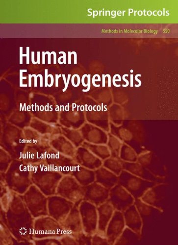 Human Embryogenesis: Methods and Protocols (Methods in Molecular Biology)