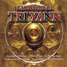 Le Meilleur de Tri yann von Tri Yann | CD | Zustand sehr gut