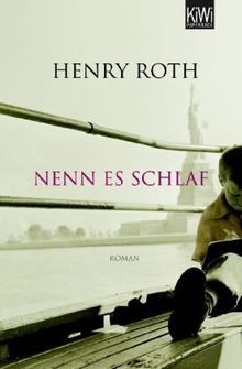 Nenn es Schlaf: Roman