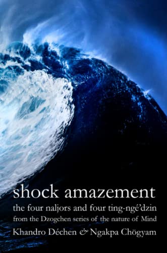 Shock Amazement: The four naljors and four ting-ngé’dzin from the Dzogchen series of the nature of Mind