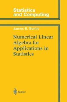 Numerical Linear Algebra for Applications in Statistics (Statistics and Computing)