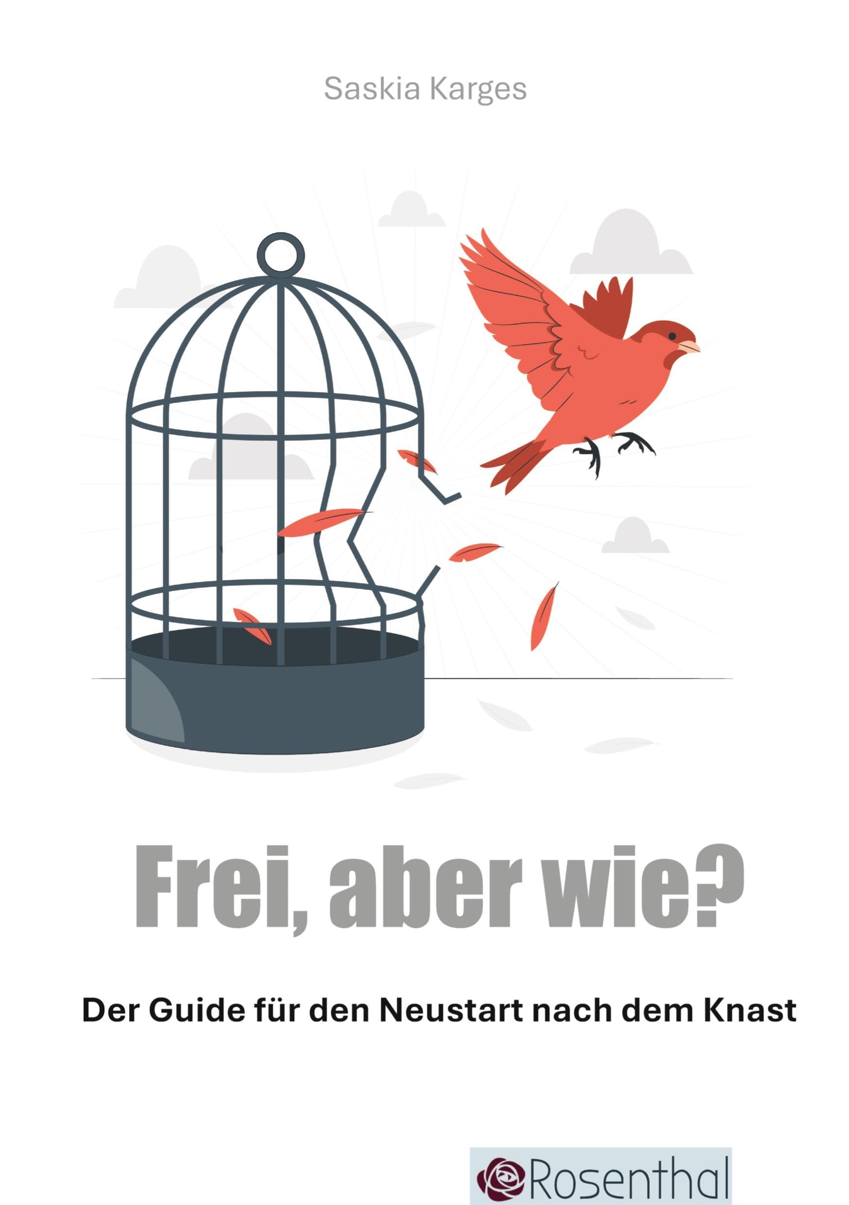 Frei, aber wie?: Der Guide für den Neustart nach dem Knast