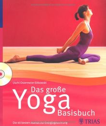 Das große Yoga Basisbuch: Die 40 besten Asanas zur Energiegewinnung