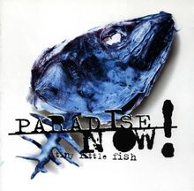 Tiny Little Fish von Paradise Now! | CD | Zustand gut