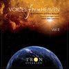 Voices from Heaven Vol.2