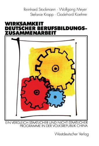 Wirksamkeit deutscher Berufsbildungszusammenarbeit: Ein Vergleich Staatlicher Und Nicht-Staatlicher Programme In Der Volksrepublik China (German Edition)
