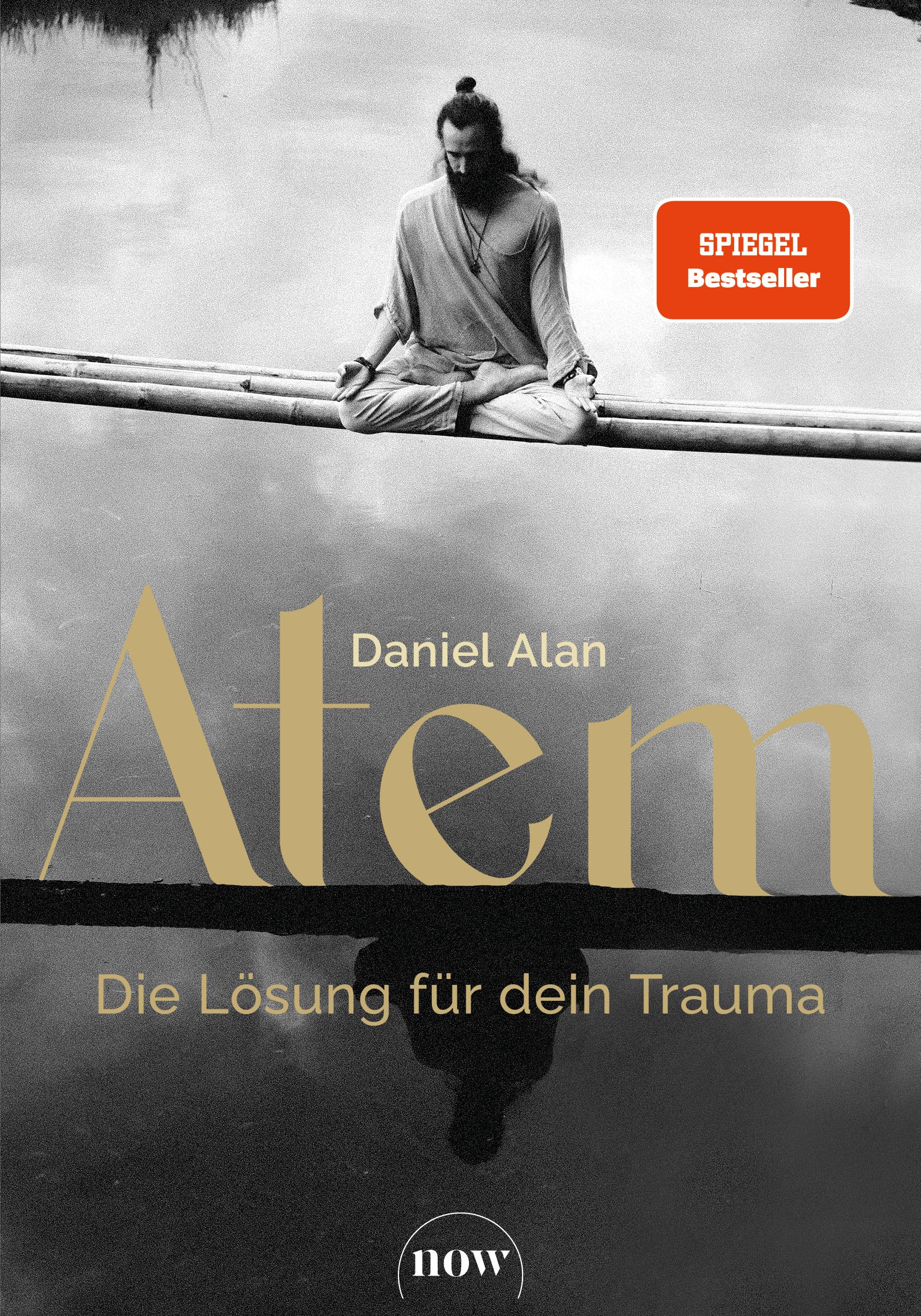 Alan, Daniel: Atem - Die Lösung für dein Trauma