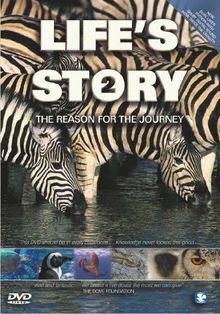 Lifes Story 2 - The Reason For The Journey [DVD]