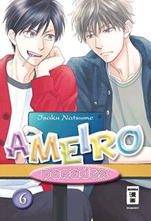 Ameiro Paradox 06