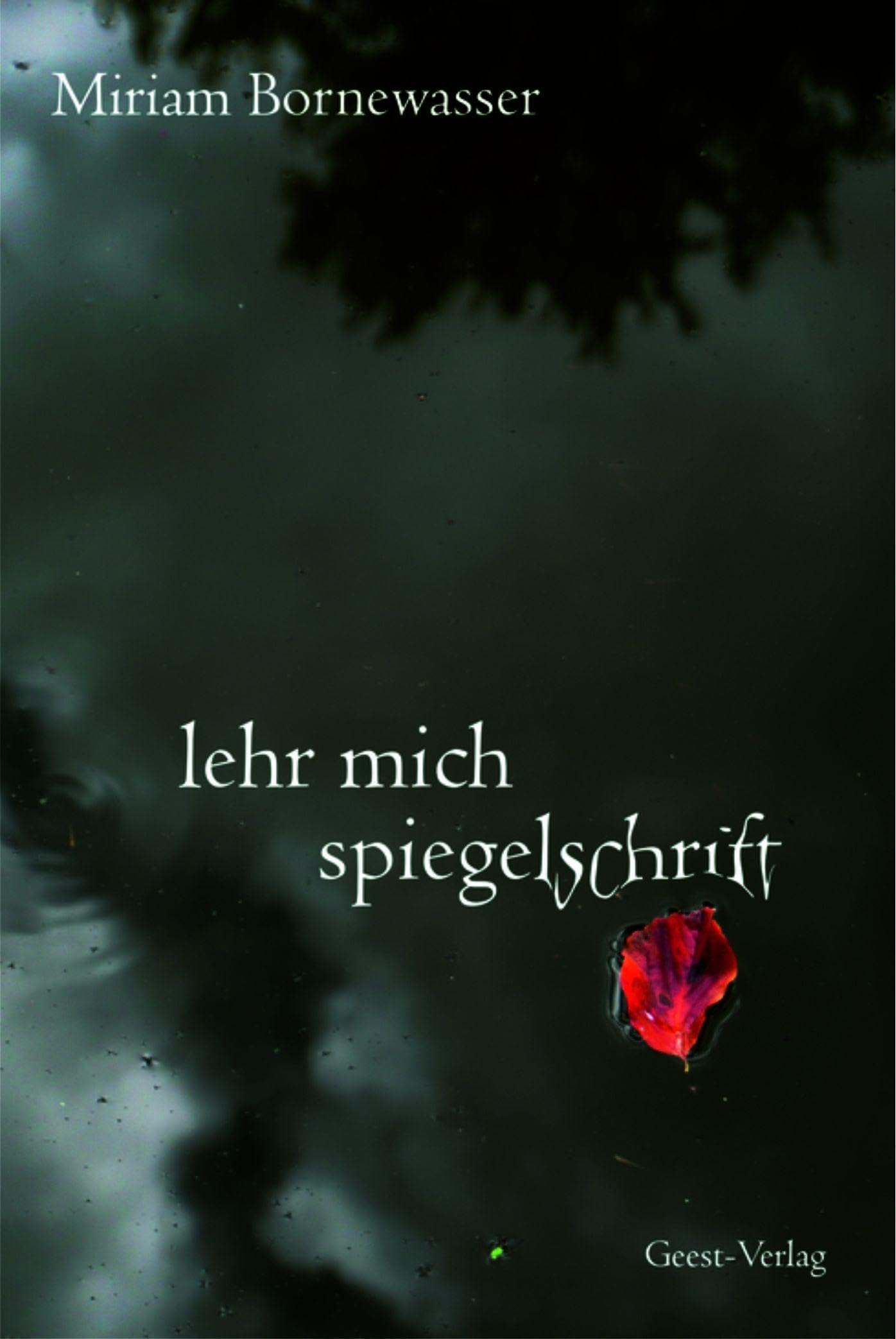 lehr mich spiegelschrift: Gedichte