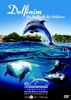 Dolfinim - Die Heilkraft der Delphine, 1 DVD