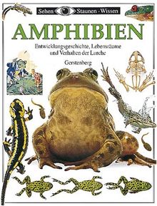 Sehen, Staunen, Wissen: Amphibien. Entwicklungsgeschichte, Lebensräume und Verhalten der Lurche;