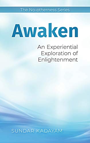 Awaken: An Experiential Exploration of Enlightenment (The No-Otherness, Band 1)