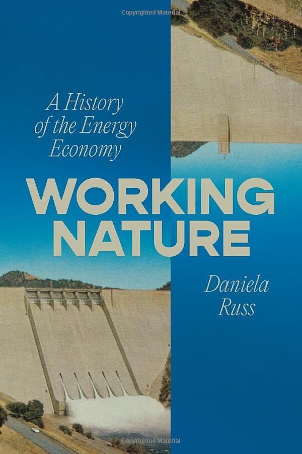 Russ, Daniela: Working Nature