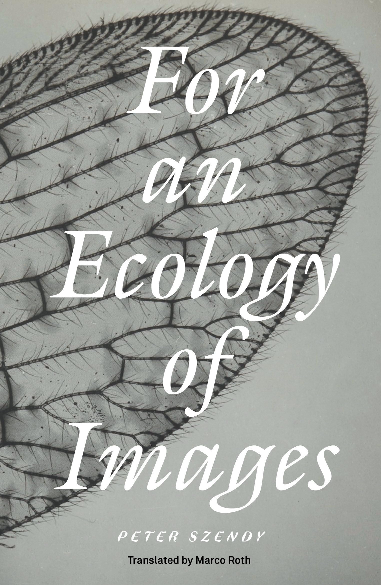 Peter Szendy For An Ecology Of Images