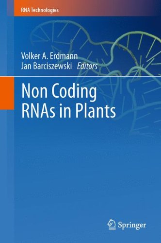 Non Coding RNAs in Plants (RNA Technologies)