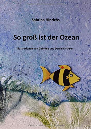So groß ist der Ozean