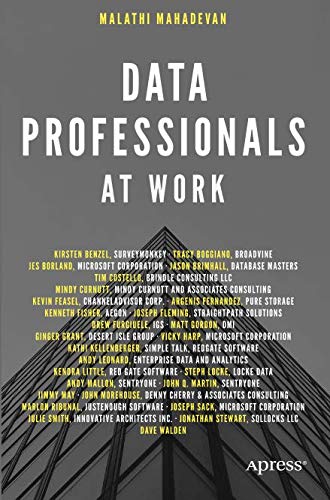 Data Professionals at Work