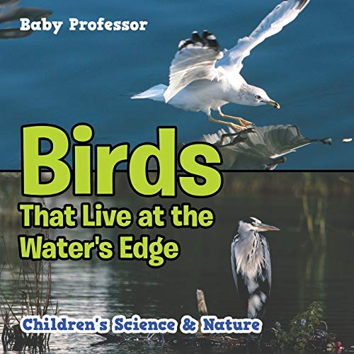 Birds That Live at the Water's Edge Children's Science & Nature