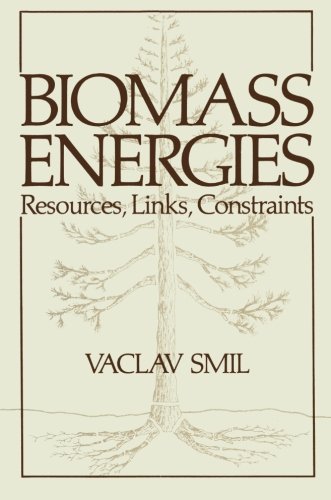 Biomass Energies: Resources, Links, Constraints (Institute For Amorphous Studies Series)