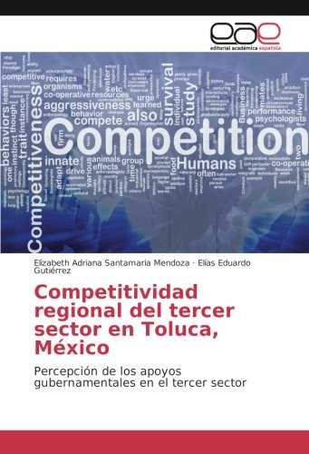 Competitividad regional del tercer sector en Toluca, México: Percepción de los apoyos gubernamentales en el tercer sector