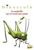 Glenat Poche - Minuscule T04 : La sauterelle qui ne savait pas sauter