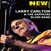 Larry Carlton - The Paris Concert