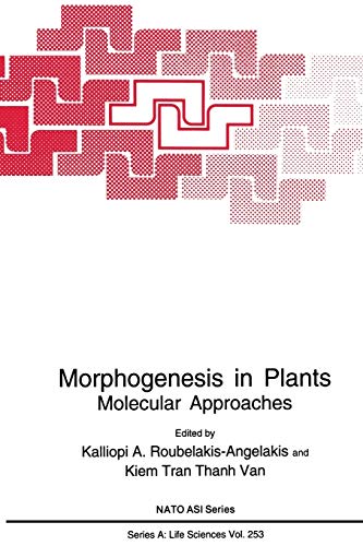 Morphogenesis in Plants: Molecular Approaches (Nato Science Series A: (Closed)) (Nato Science Series A:, 253, Band 253)