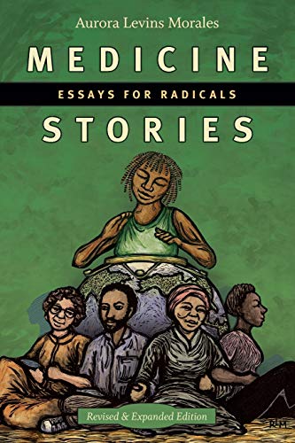Medicine Stories: Essays for Radicals