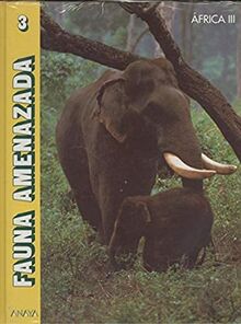 Africa Iii