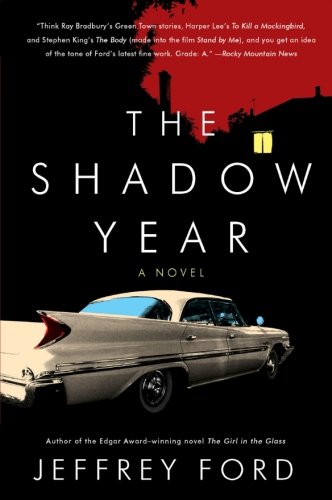 The Shadow Year: A Novel