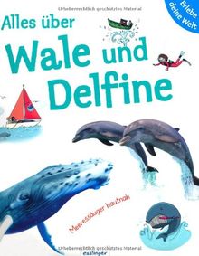 Alles über Wale und Delfine