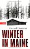 Winter in Maine: Roman (Das Besondere Taschenbuch)