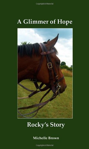 A Glimmer of Hope: Rocky's Story