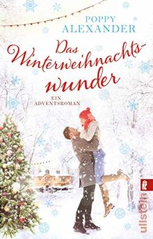 Das Winterweihnachtswunder: Ein Adventsroman