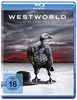 Westworld - Staffel 2 - Repack [Blu-ray]
