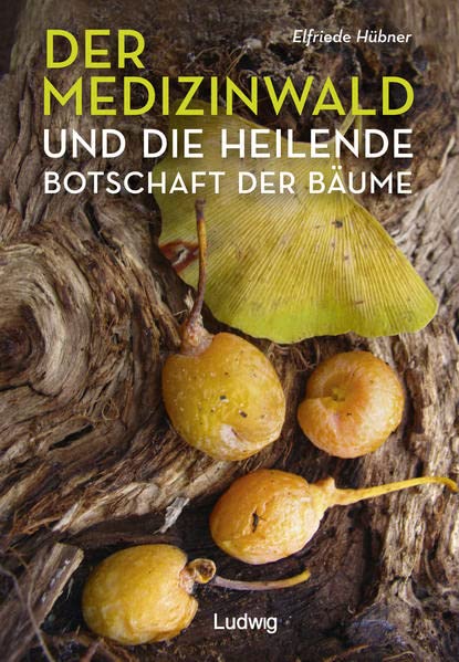 Der Medizinwald und die heilende Botschaft der Bäume m 1 Buch - Elfriede Hübner Kartoniert (TB)