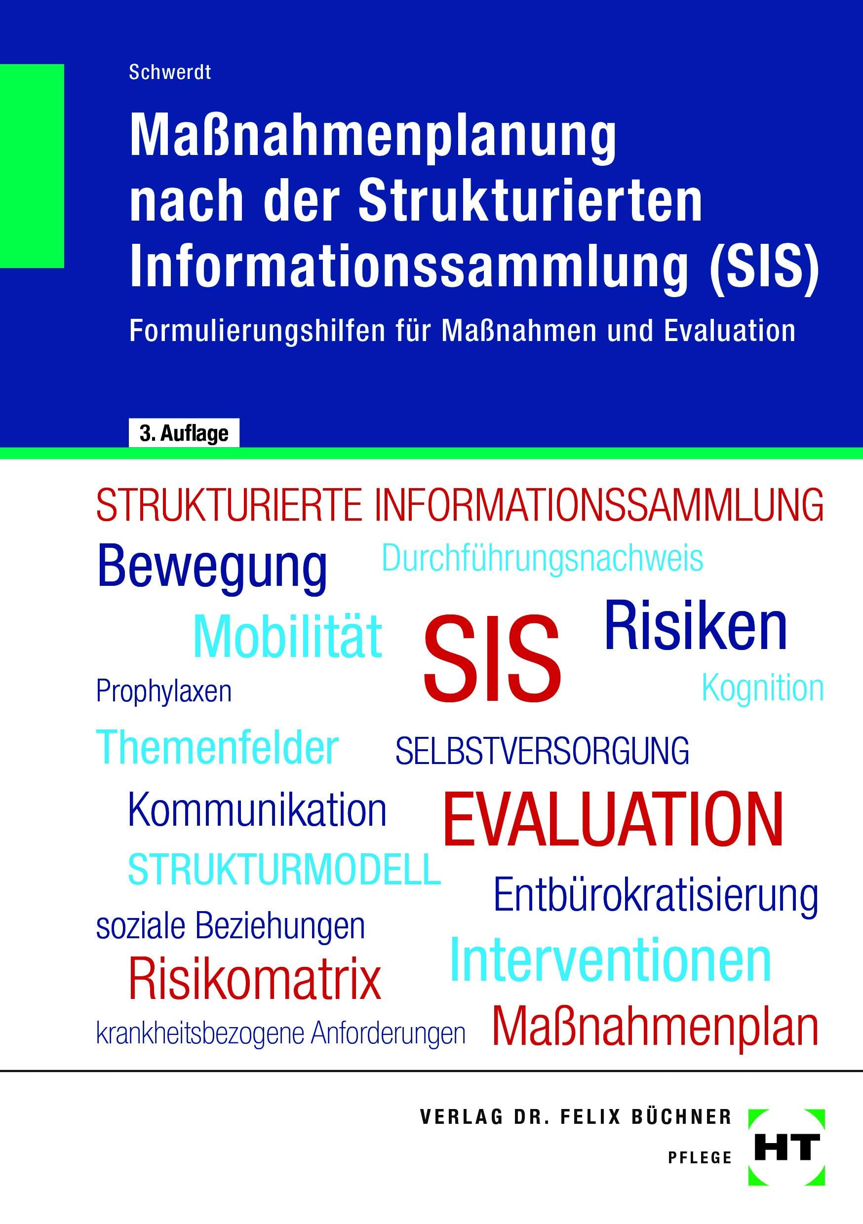 eBook inside: Buch und eBook Maßnahmenplanung nach der Strukturierten Informationssammlung (SIS): Formulierungshilfen für Maßnahmen und Evaluation