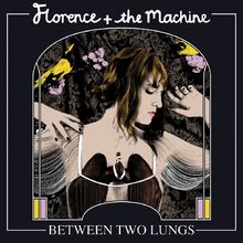 Between Two Lungs von Florence+the Machine | CD | Zustand gut