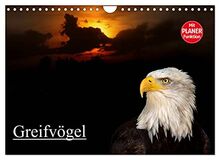 Greifvögel (Wandkalender 2023 DIN A4 quer), Calvendo Monatskalender