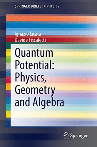 SpringerBriefs in Physics   Quantum Potential Physics Geometry and Algebra - Ignazio Licata Davide Fiscaletti Kartoniert (TB)