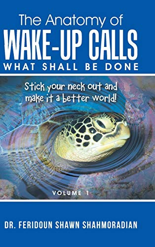 The Anatomy of Wake-up Calls Volume 1: What Shall Be Done