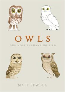 Owls: Our Most Enchanting Bird