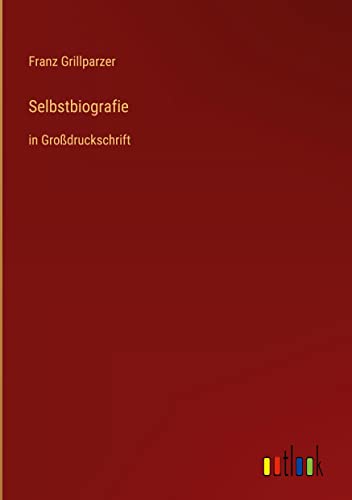 Selbstbiografie: in Großdruckschrift