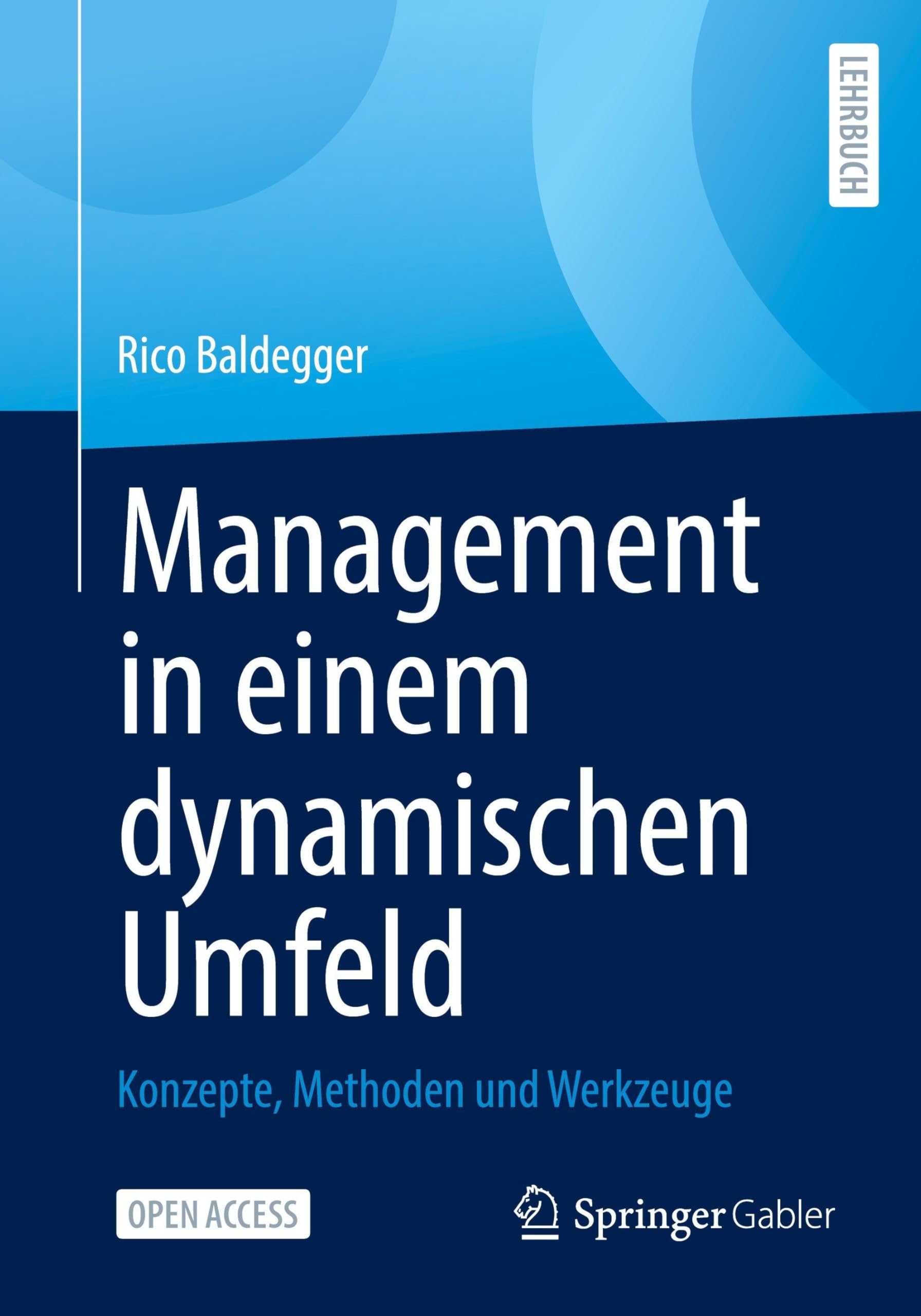 Management in einem dynamischen Umfeld: Konzepte, Methoden und Werkzeuge